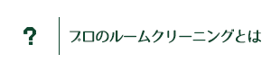 プロのルームクリーニングとは